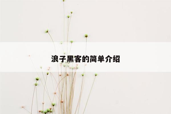 浪子黑客的简单介绍