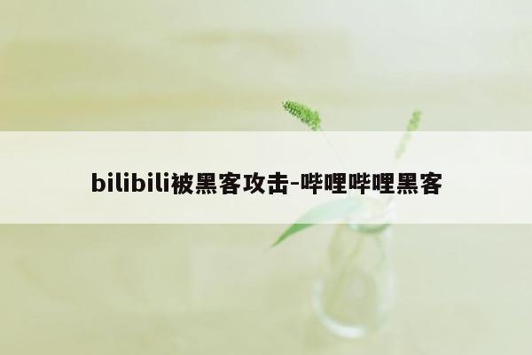 bilibili被黑客攻击-哔哩哔哩黑客