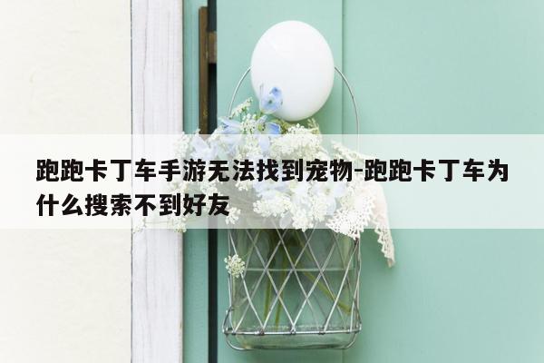 跑跑卡丁车手游无法找到宠物-跑跑卡丁车为什么搜索不到好友