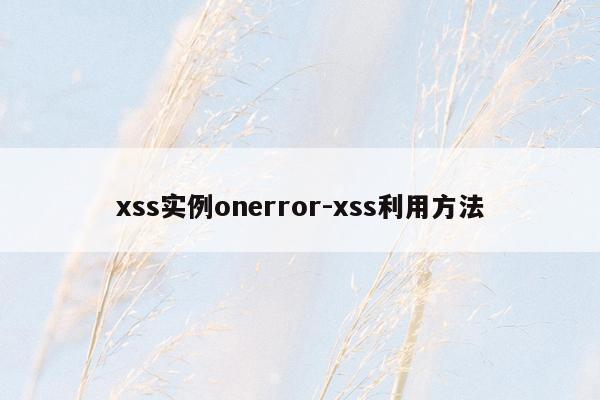 xss实例onerror-xss利用方法