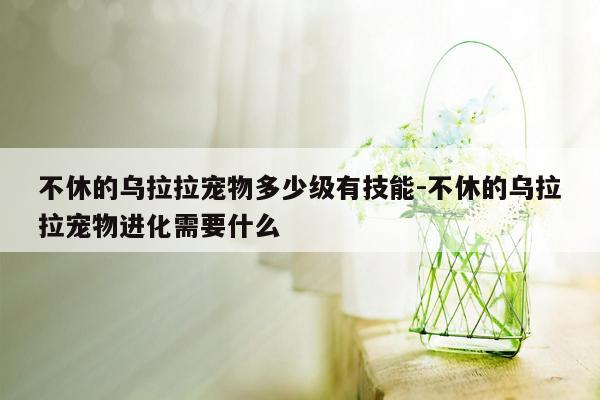 不休的乌拉拉宠物多少级有技能-不休的乌拉拉宠物进化需要什么