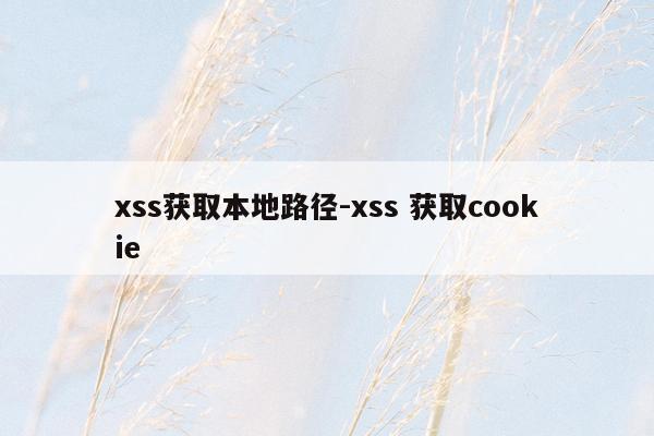 xss获取本地路径-xss 获取cookie