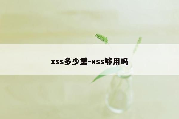 xss多少重-xss够用吗