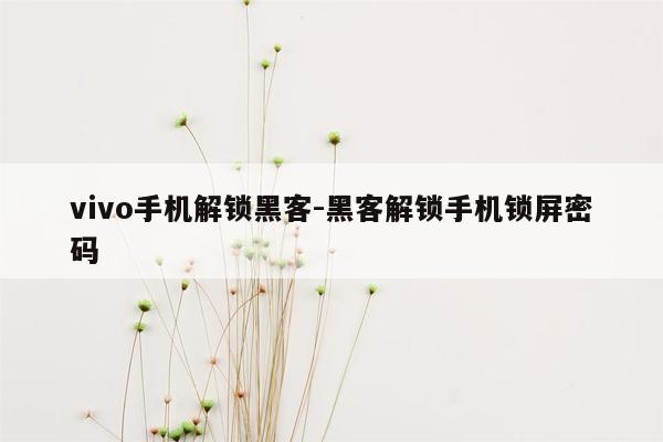 vivo手机解锁黑客-黑客解锁手机锁屏密码