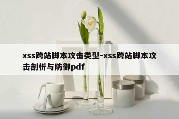 xss跨站脚本攻击类型-xss跨站脚本攻击剖析与防御pdf