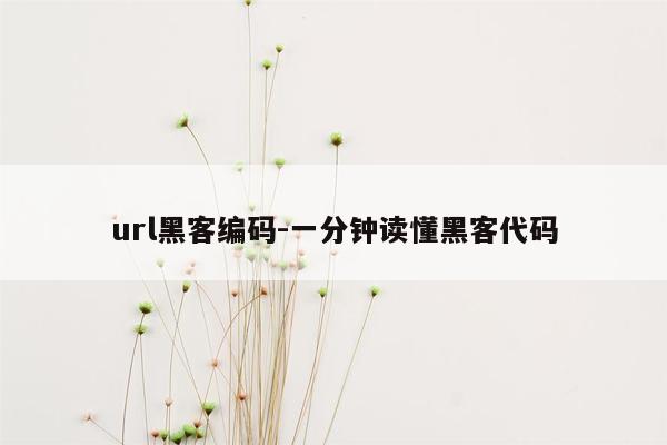 url黑客编码-一分钟读懂黑客代码