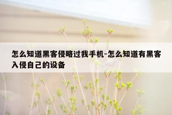 怎么知道黑客侵略过我手机-怎么知道有黑客入侵自己的设备