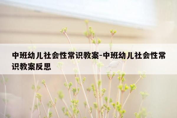 中班幼儿社会性常识教案-中班幼儿社会性常识教案反思