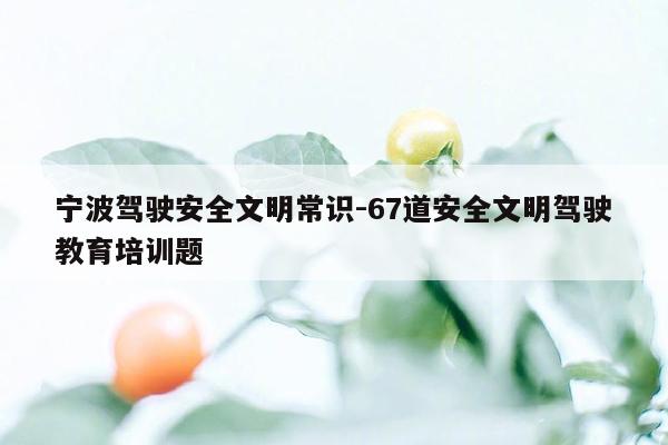 宁波驾驶安全文明常识-67道安全文明驾驶教育培训题