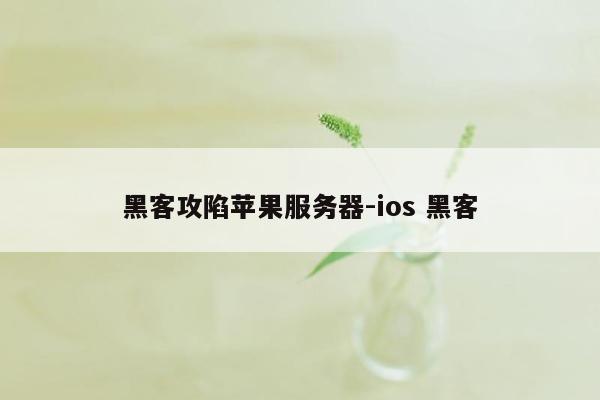 黑客攻陷苹果服务器-ios 黑客