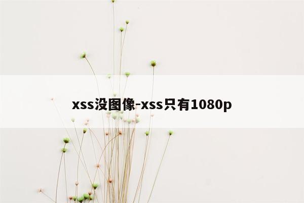 xss没图像-xss只有1080p