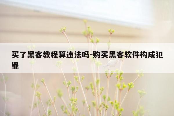 买了黑客教程算违法吗-购买黑客软件构成犯罪