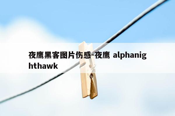 夜鹰黑客图片伤感-夜鹰 alphanighthawk