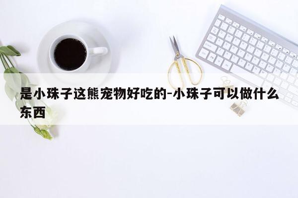 是小珠子这熊宠物好吃的-小珠子可以做什么东西