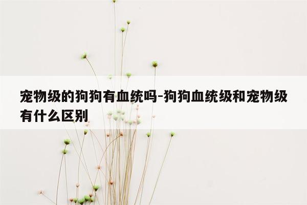 宠物级的狗狗有血统吗-狗狗血统级和宠物级有什么区别