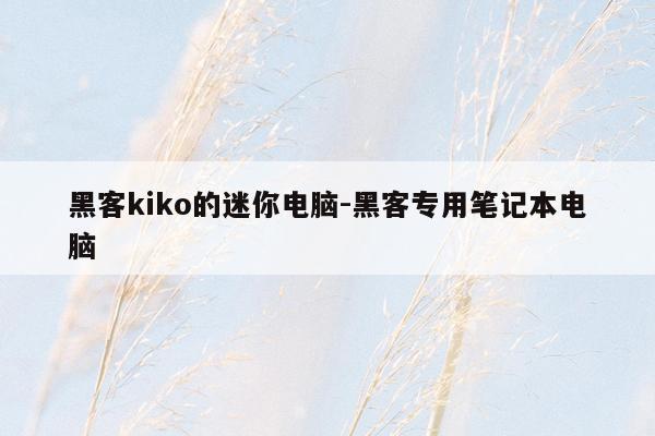 黑客kiko的迷你电脑-黑客专用笔记本电脑