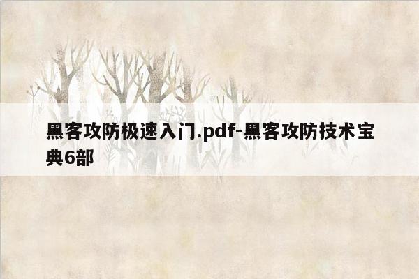 黑客攻防极速入门.pdf-黑客攻防技术宝典6部