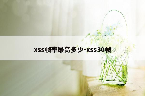 xss帧率最高多少-xss30帧