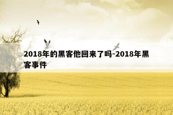 2018年的黑客他回来了吗-2018年黑客事件