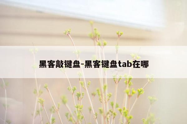 黑客敲键盘-黑客键盘tab在哪