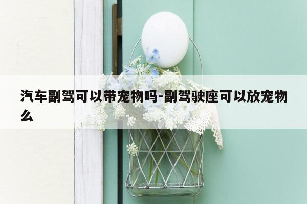 汽车副驾可以带宠物吗-副驾驶座可以放宠物么