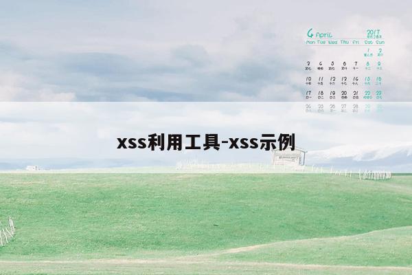 xss利用工具-xss示例