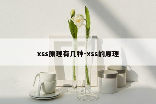 xss原理有几种-xss的原理