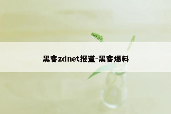 黑客zdnet报道-黑客爆料