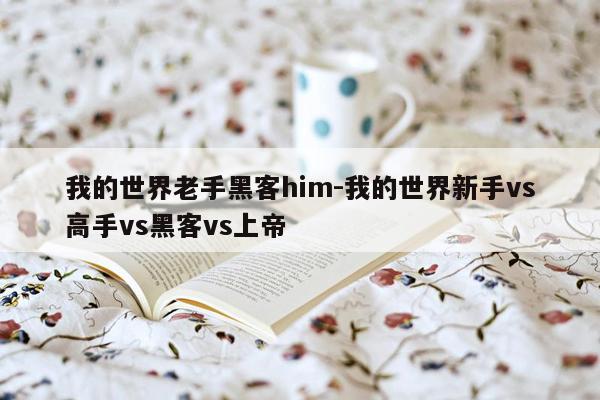 我的世界老手黑客him-我的世界新手vs高手vs黑客vs上帝