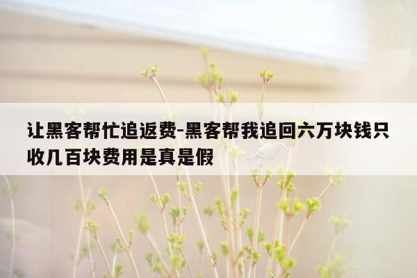 让黑客帮忙追返费-黑客帮我追回六万块钱只收几百块费用是真是假