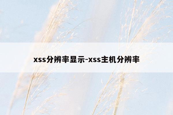 xss分辨率显示-xss主机分辨率