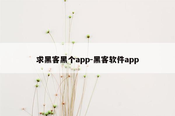 求黑客黑个app-黑客软件app