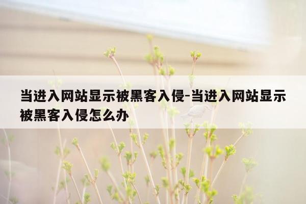 当进入网站显示被黑客入侵-当进入网站显示被黑客入侵怎么办