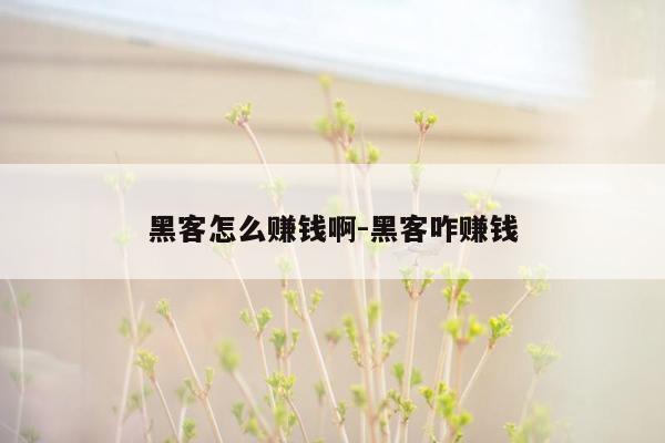 黑客怎么赚钱啊-黑客咋赚钱