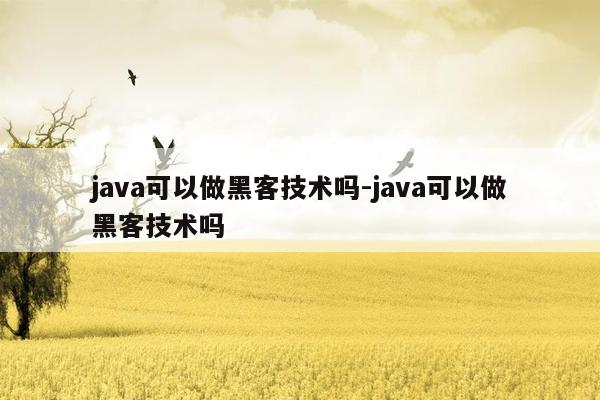 java可以做黑客技术吗-java可以做黑客技术吗