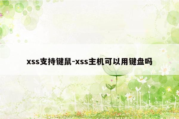 xss支持键鼠-xss主机可以用键盘吗