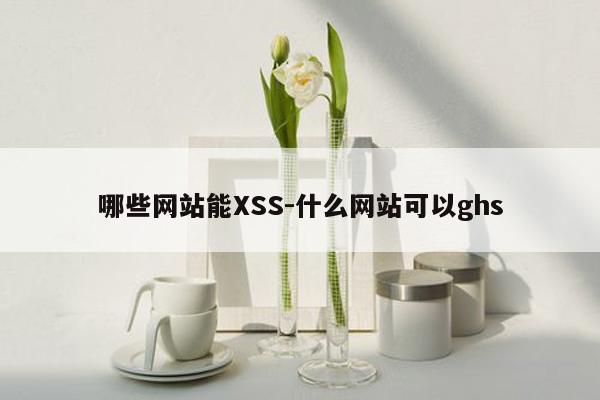 哪些网站能XSS-什么网站可以ghs