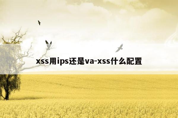 xss用ips还是va-xss什么配置