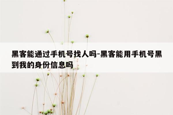 黑客能通过手机号找人吗-黑客能用手机号黑到我的身份信息吗