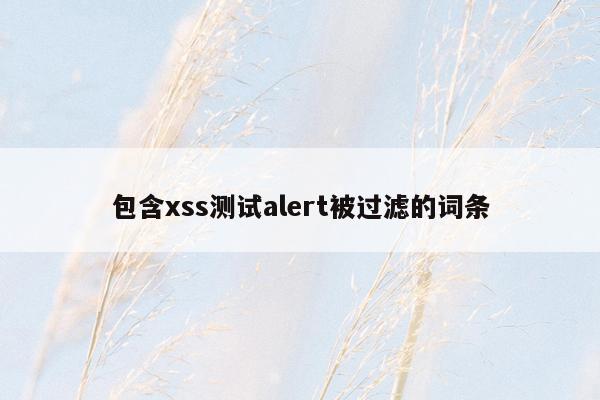 包含xss测试alert被过滤的词条