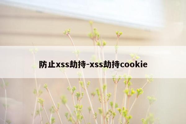 防止xss劫持-xss劫持cookie