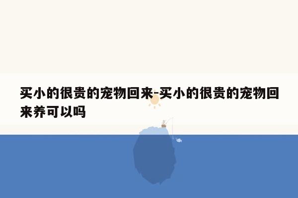 买小的很贵的宠物回来-买小的很贵的宠物回来养可以吗