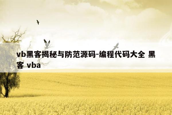 vb黑客揭秘与防范源码-编程代码大全 黑客 vba