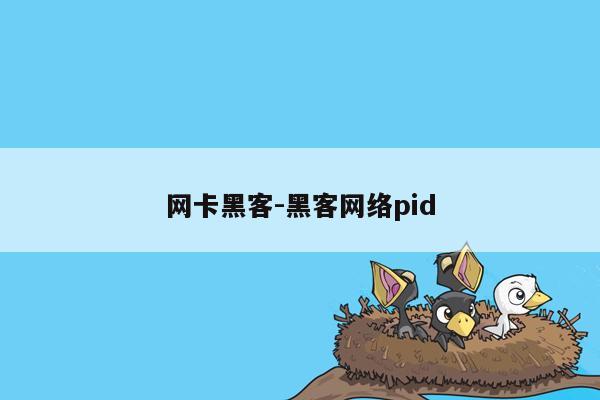 网卡黑客-黑客网络pid