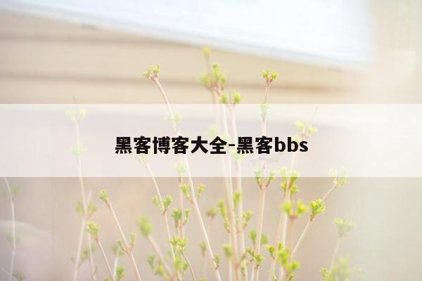 黑客博客大全-黑客bbs