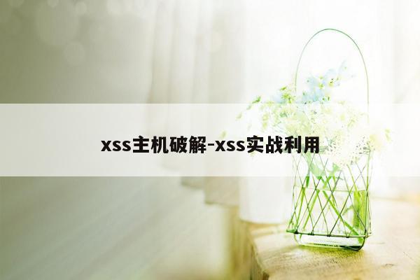 xss主机破解-xss实战利用