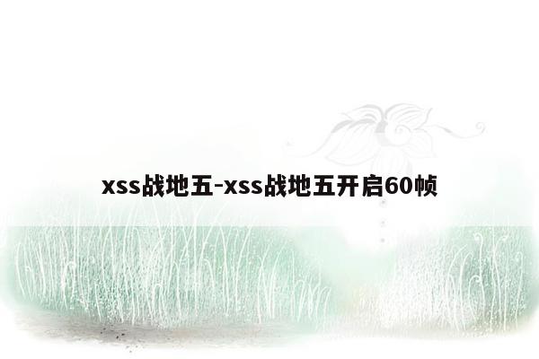 xss战地五-xss战地五开启60帧