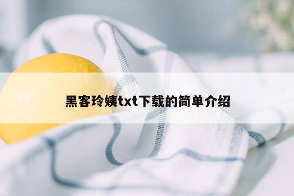 黑客玲姨txt下载的简单介绍