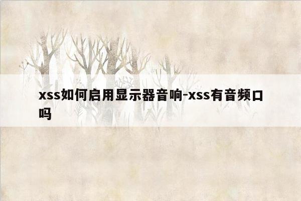 xss如何启用显示器音响-xss有音频口吗