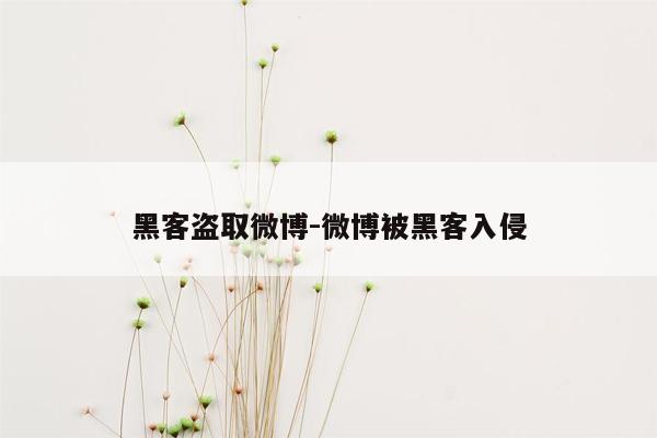 黑客盗取微博-微博被黑客入侵